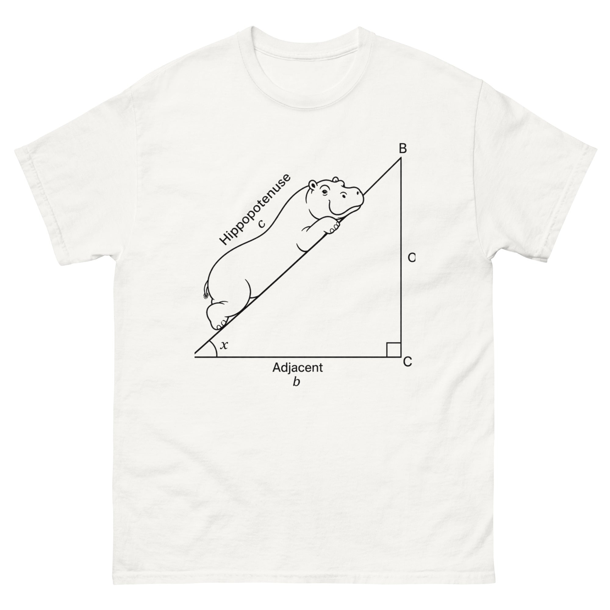 matematikk matte nerd t-skjorte